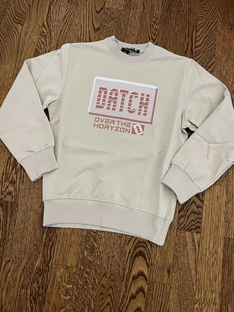 Felpa bambino Beige Datch